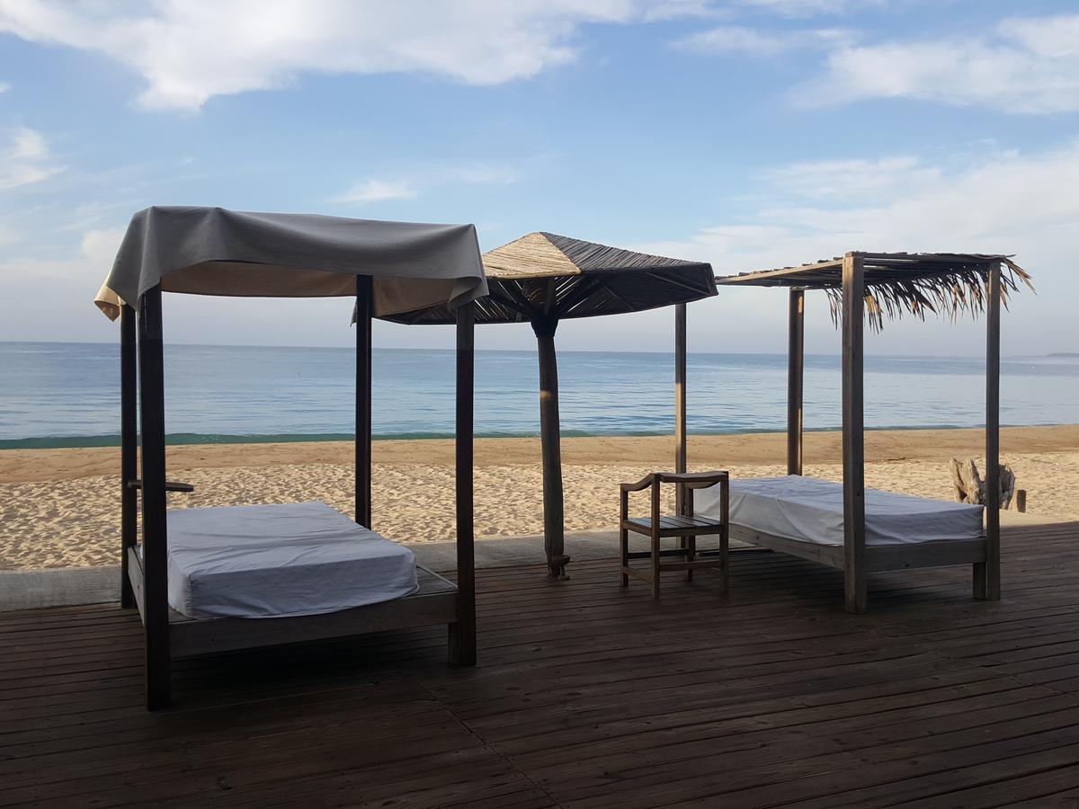 El Papalote Ecologico Hotell Borrego Eksteriør bilde
